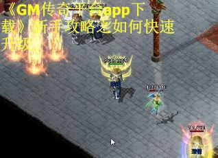 《GM传奇平台app下载》新手攻略之如何快速升级