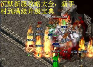 沉默新服攻略大全：新手村到满级升级宝典