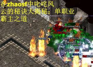 在zhaosf中叱咤风云的秘诀大揭秘:单职业霸主之道