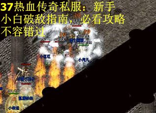 37热血传奇私服:新手小白破敌指南,必看攻略不容错过