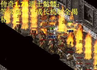 传奇1.76道士骷髅：等级属性与成长机制全揭秘