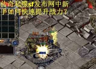 传奇私服sf发布网中新手如何快速提升战力？
