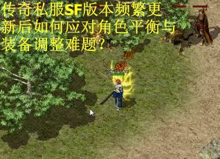 传奇私服SF版本频繁更新后如何应对角色平衡与装备调整难题？