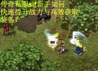 传奇私服sif新手如何快速提升战力与高效获取装备？