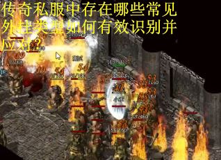 传奇私服中存在哪些常见外挂类型如何有效识别并应对？