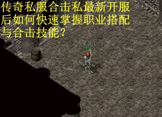 传奇私服合击私最新开服后如何快速掌握职业搭配与合击技能？