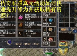 传奇私服真元活动如何快速提升修为并获取稀有资源？