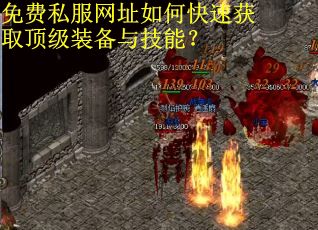 免费私服网址如何快速获取顶级装备与技能？