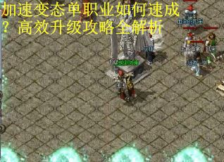 加速变态单职业如何速成？高效升级攻略全解析