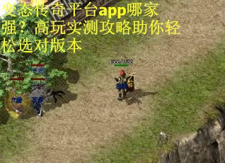 变态传奇平台app哪家强？高玩实测攻略助你轻松选对版本
