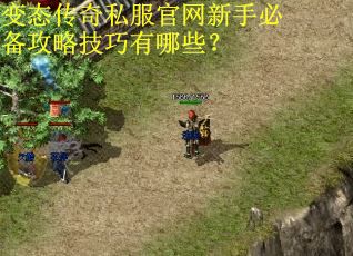 变态传奇私服官网新手必备攻略技巧有哪些? 变态传奇私服官网新手必备攻略技巧有哪些?