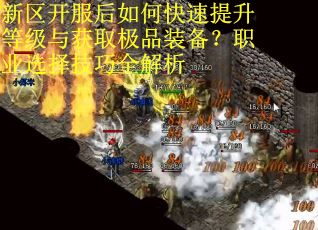 新区开服后如何快速提升等级与获取极品装备？职业选择技巧全解析