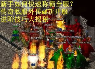 新手如何快速称霸全服?传奇私服外传sf新开服进阶技巧大揭秘 新手如何快速称霸全服?传奇私服外传sf新开服进阶技巧大揭秘