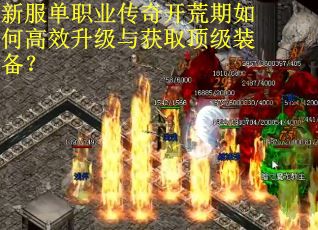 新服单职业传奇开荒期如何高效升级与获取顶级装备？