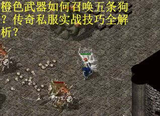 橙色武器如何召唤五条狗？传奇私服实战技巧全解析？