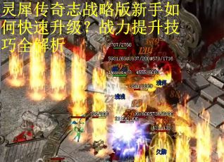 灵犀传奇志战略版新手如何快速升级？战力提升技巧全解析