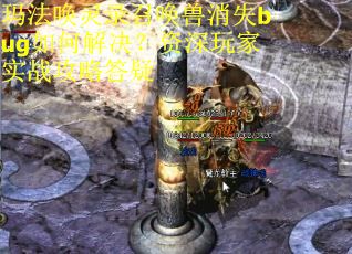 玛法唤灵录召唤兽消失bug如何解决?资深玩家实战攻略答疑 玛法唤灵录召唤兽消失bug如何解决?资深玩家实战攻略答疑