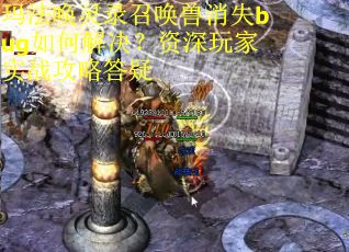 玛法唤灵录召唤兽消失bug如何解决?资深玩家实战攻略答疑 玛法唤灵录召唤兽消失bug如何解决?资深玩家实战攻略答疑