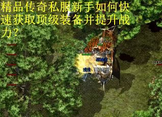 精品传奇私服新手如何快速获取顶级装备并提升战力? 精品传奇私服新手如何快速获取顶级装备并提升战力?