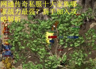 网通传奇私服十大家族哪家战力最强?新手加入攻略解析 网通传奇私服十大家族哪家战力最强?新手加入攻略解析