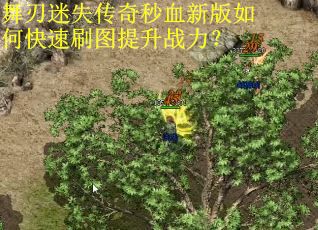 舞刃迷失传奇秒血新版如何快速刷图提升战力? 舞刃迷失传奇秒血新版如何快速刷图提升战力?