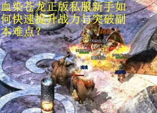 血染苍龙正版私服新手如何快速提升战力与突破副本难点? 血染苍龙正版私服新手如何快速提升战力与突破副本难点?