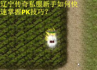 辽宁传奇私服新手如何快速掌握PK技巧? 辽宁传奇私服新手如何快速掌握PK技巧?