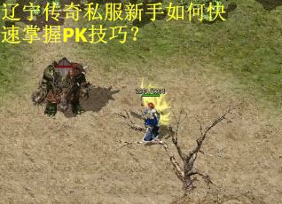 辽宁传奇私服新手如何快速掌握PK技巧? 辽宁传奇私服新手如何快速掌握PK技巧?