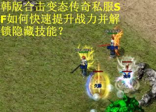 韩版合击变态传奇私服SF如何快速提升战力并解锁隐藏技能？