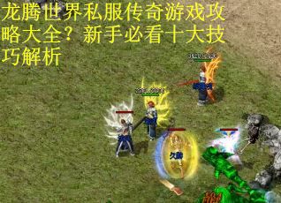 龙腾世界私服传奇游戏攻略大全？新手必看十大技巧解析