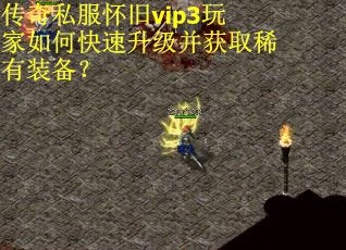 传奇私服怀旧vip3玩家如何快速升级并获取稀有装备？
