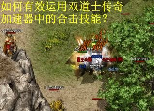 如何有效运用双道士传奇加速器中的合击技能？