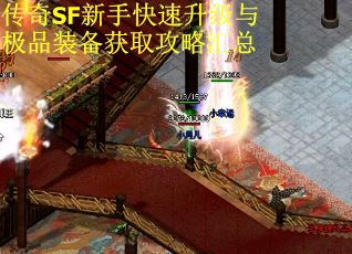 传奇SF新手快速升级与极品装备获取攻略汇总