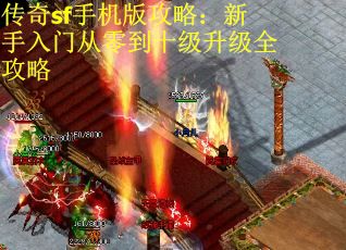 传奇sf手机版攻略:新手入门从零到十级升级全攻略