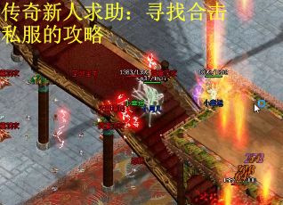 传奇新人求助：寻找合击私服的攻略
