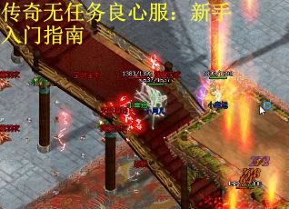 传奇无任务良心服：新手入门指南