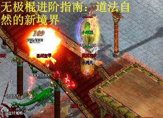 无极棍进阶指南：道法自然的新境界