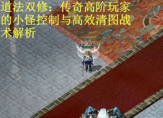 道法双修：传奇高阶玩家的小怪控制与高效清图战术解析