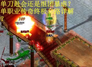 单刀赴会还是组团暴虐？单职业传奇终极套路详解？