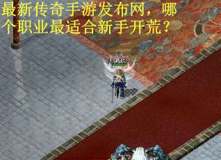 最新传奇手游发布网，哪个职业最适合新手开荒？