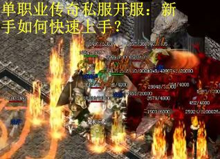 单职业传奇私服开服:新手如何快速上手?