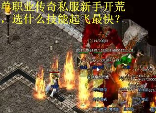 单职业传奇私服新手开荒，选什么技能起飞最快？