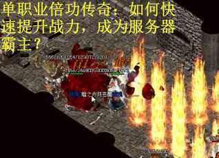 单职业倍功传奇：如何快速提升战力，成为服务器霸主？