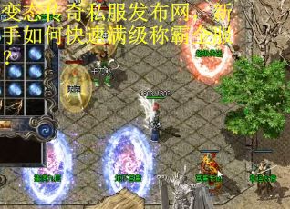 变态传奇私服发布网，新手如何快速满级称霸全服？