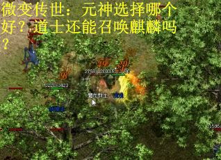 微变传世：元神选择哪个好？道士还能召唤麒麟吗？