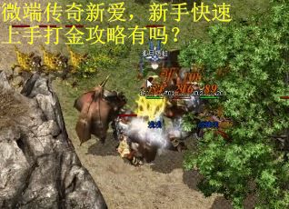 微端传奇新爱，新手快速上手打金攻略有吗？