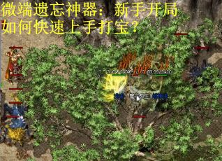 微端遗忘神器：新手开局如何快速上手打宝？
