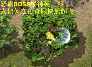 怒刷BOSS爆神装，新人如何在传奇服快速起飞？