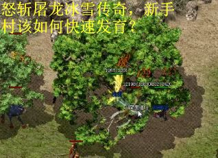 怒斩屠龙冰雪传奇，新手村该如何快速发育？