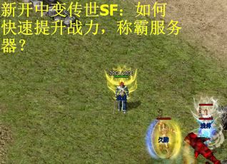 新开中变传世SF：如何快速提升战力，称霸服务器？